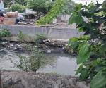 Kondisi aliran sungai kali kepiting Mulyorejo Surabaya