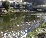 Pencemaran Sungai Oleh Sampah Sungai Brantas Pasar Gadang Malang