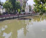 Kondisi Air Sungai