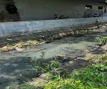 kondisi sungai di jalan anusanata