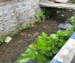 Kondisi Saluran Drainase di Jalan Tapak Liman