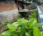 Kondisi Saluran Drainase di Jalan Tapak Liman