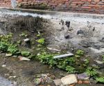Kondisi Saluran Drainase di Jalan Tapak Liman