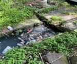 Kondisi Saluran Drainase di Jalan Soekarno Hatta