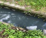 Kondisi Saluran Drainase di Jalan Soekarno Hatta