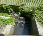 Kondisi Saluran Drainase di Belakang RS UB
