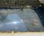 Kondisi air drainase