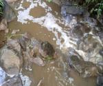 Sungai Doko Blitar keruh akibat tercemar limbah ternak PT. Greenfields