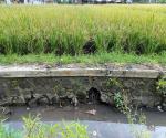 Saluran Drainase Jl. Akordion